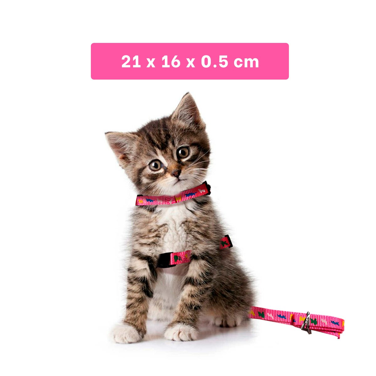 PACK2 CONJUNTO SEGURO FUCSIA PARA PASEO DE MASCOTA DE MEDIDA REDUCIDA YREGALO STICKER - 4