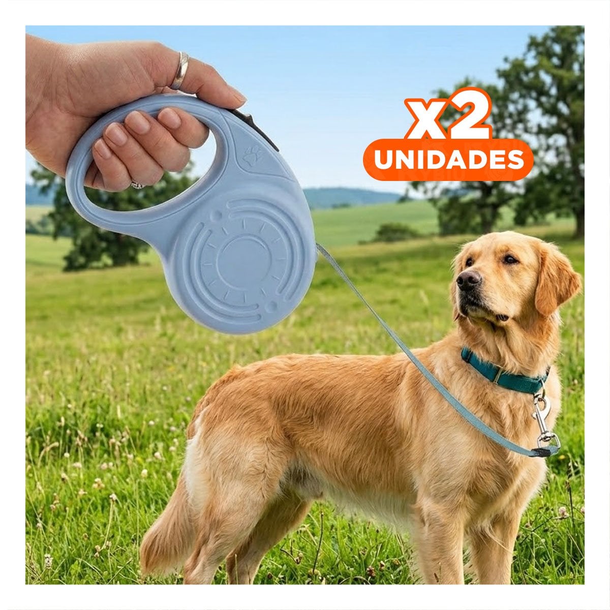 PACK2 SOGA RETRACTIL 3M PARA PERRO CON DISENO HUELLITA AZUL GRISACEO - 1