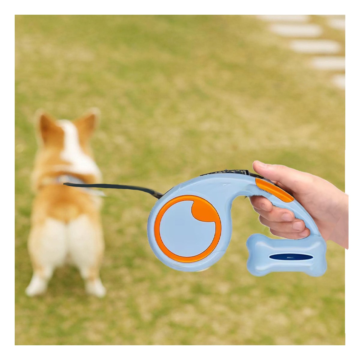 PACK2 ARTICULO PRACTICO CELESTE PARA PASEO CANINO CON PORTA BOLSA INTEGRADO - 5