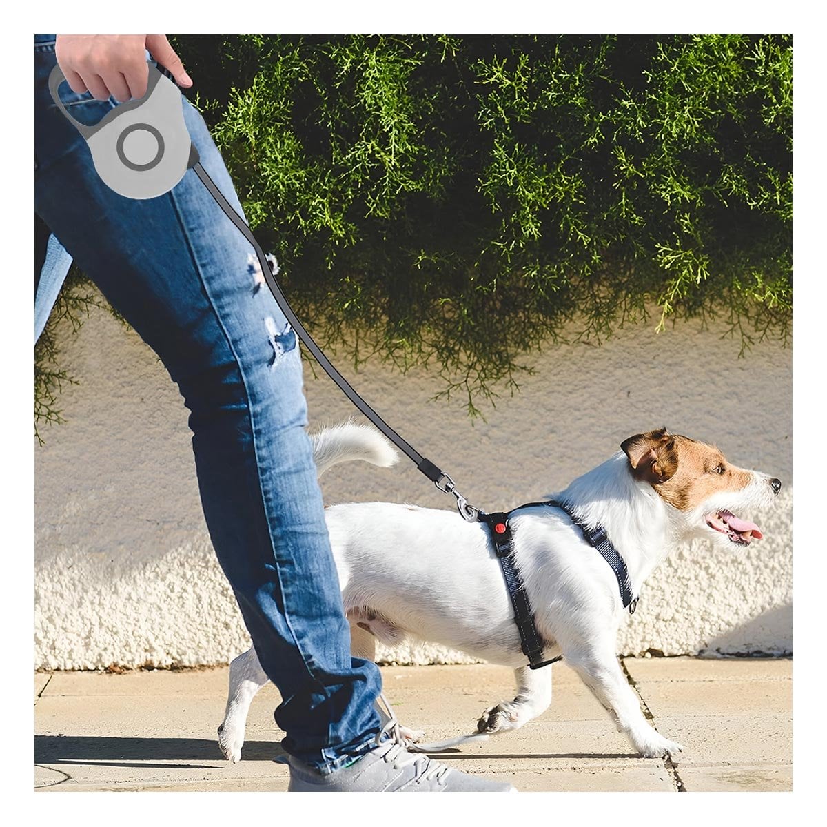CORREA RETRACTIL 3M PARA PERRO CON SISTEMA SEGURO DOBLE TONO - 3