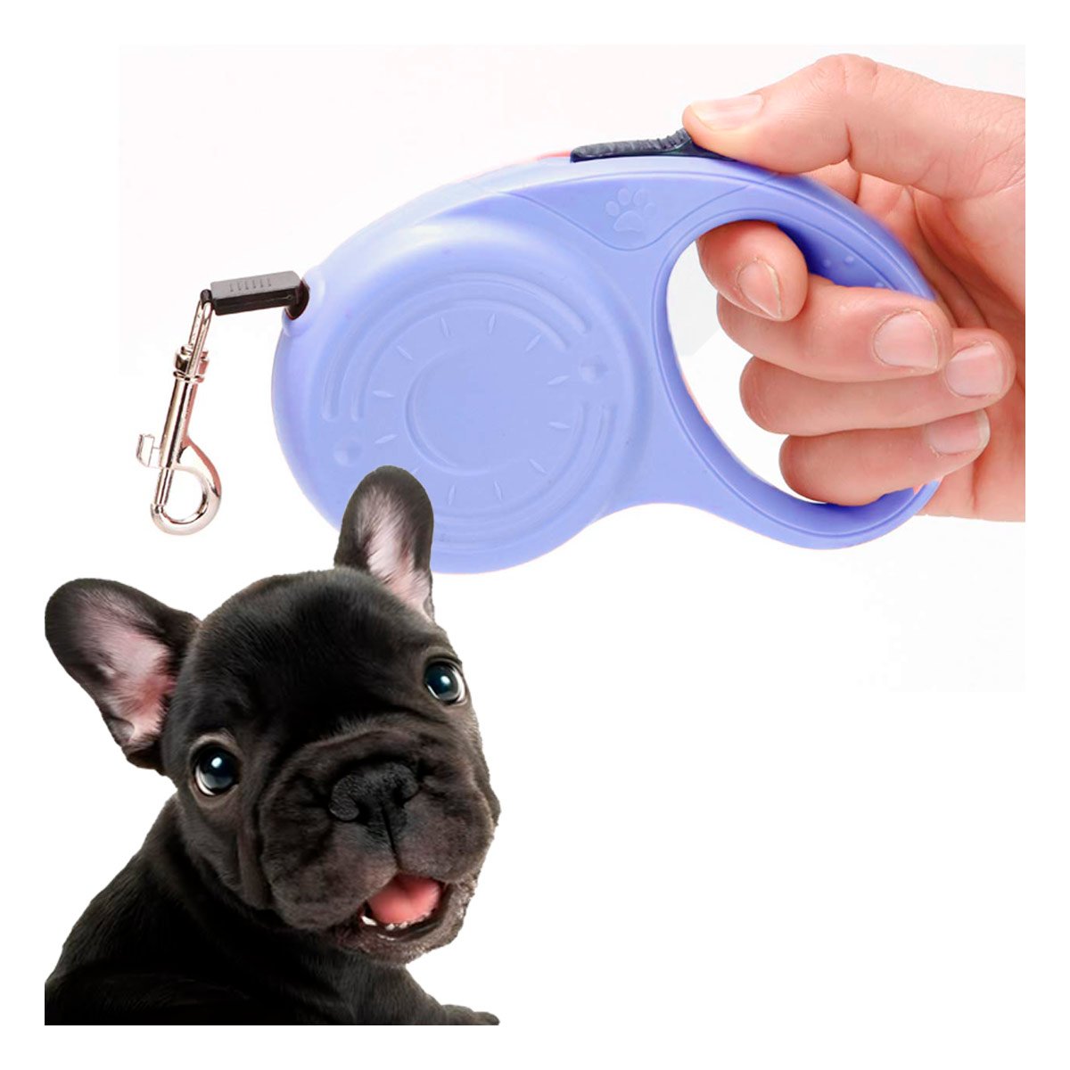 PACK4 SUJETADOR EXTENSIBLE 3M PARA PERRO CON DISENO HUELLITA AZUL GRISACEO YPAPEL REGALO - 3