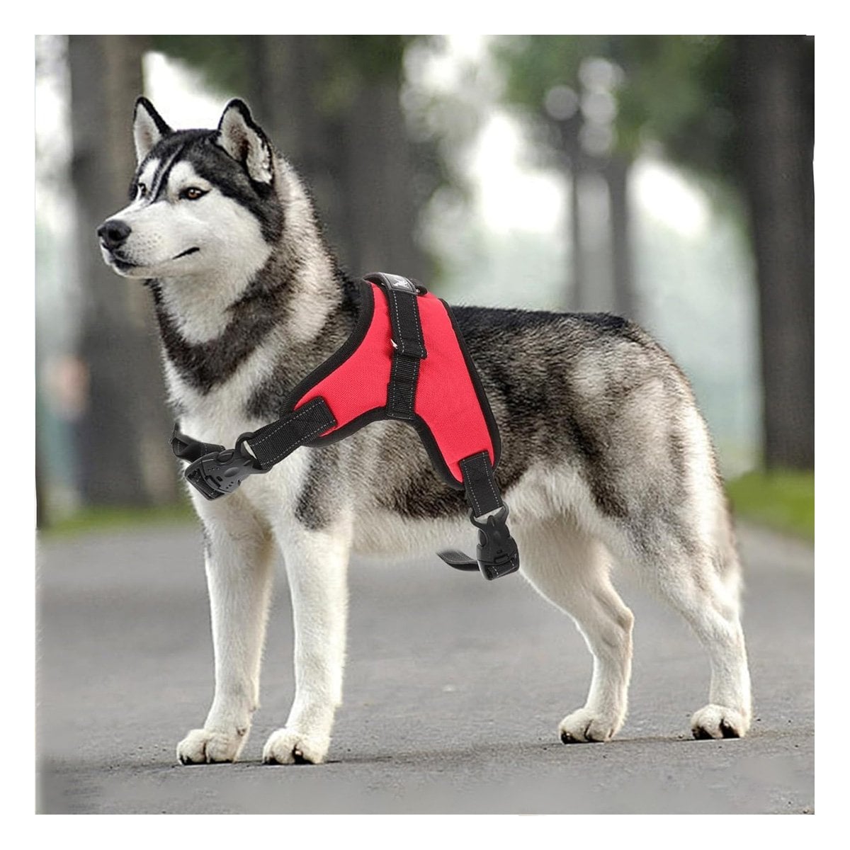 PECHERA EN H PARA PERRO TALLA S RESISTENTE Y COMODA PARA PASEOS COLOR ROJO - 3