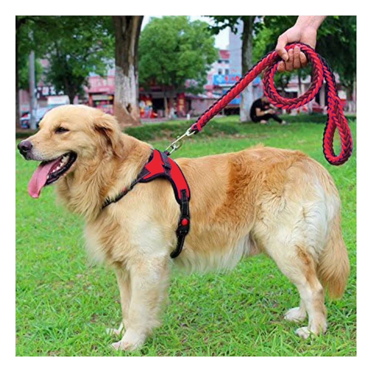 PECHERA EN H PARA PERRO TALLA S RESISTENTE Y COMODA PARA PASEOS COLOR ROJO - 5