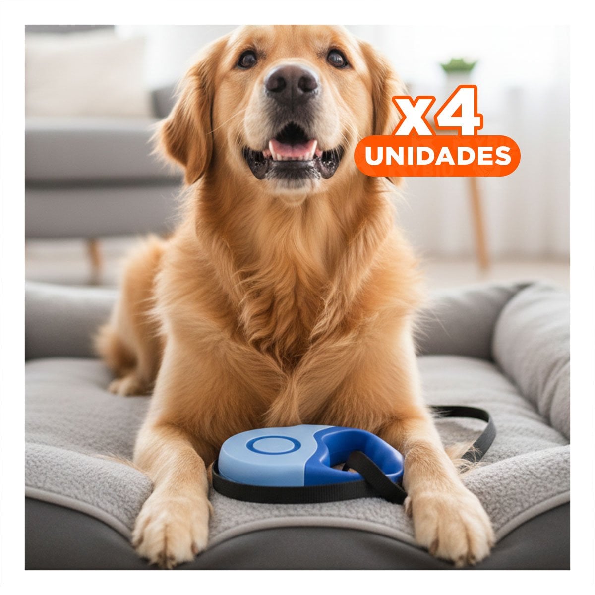 PACK4 CINTA EXTENSIBLE 5M PARA MASCOTA CON CONTROL MANUAL DOBLE TONO YPAPEL REGALO - 1