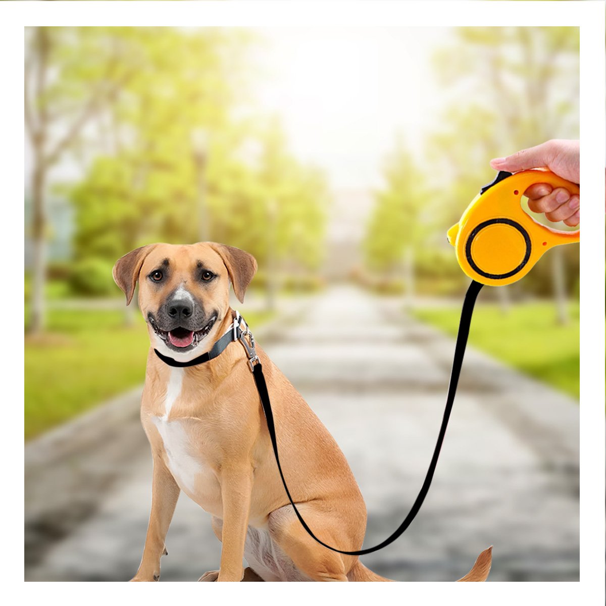 FLEJE RETRACTIL CONFIABLE PARA MANTENER A TU MASCOTA SEGURA PARA CAMINATAS AMARILLO YSTICKY - 3