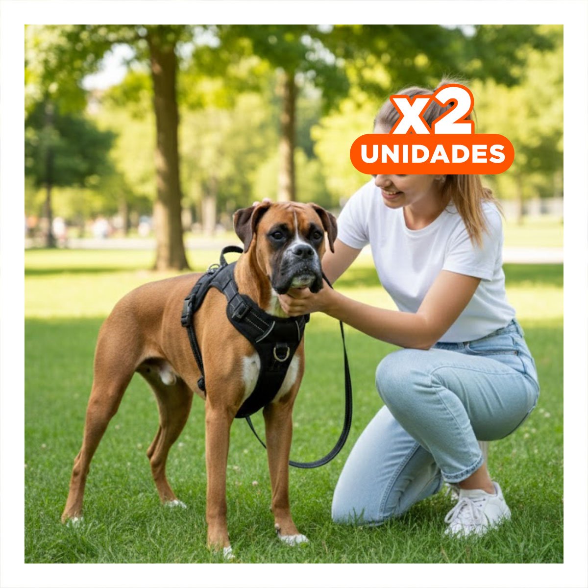 PACK2 PECHERA RESISTENTE EN H PARA MASCOTA TALLA M CON AJUSTE NEGRO YPAPEL REGALO - 1
