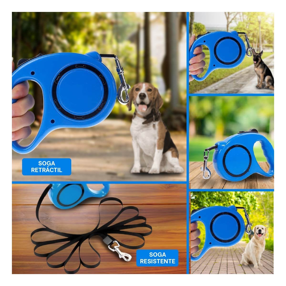 HILO RETRACTIL AZUL CON CIRCULO NEGRO PARA MASCOTAS EN CASA YSTICKY - 2