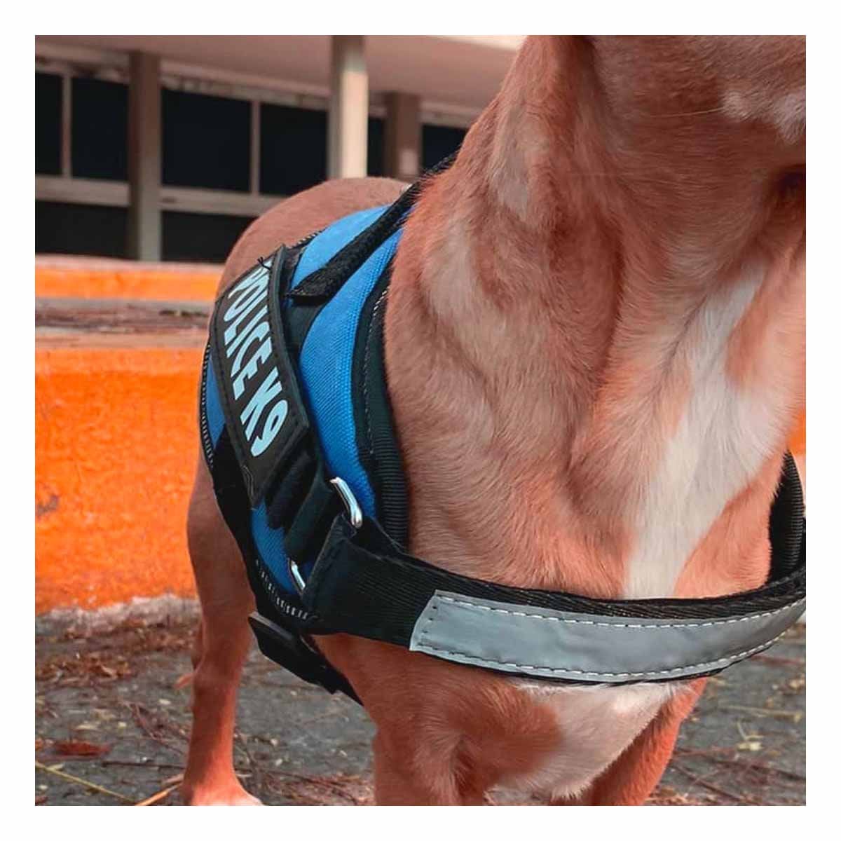 CHALECO DE CONTROL PARA PERRO TALLA M CON AJUSTE SEGURO Y COMODO CELESTE YPAPEL REGALO - 1