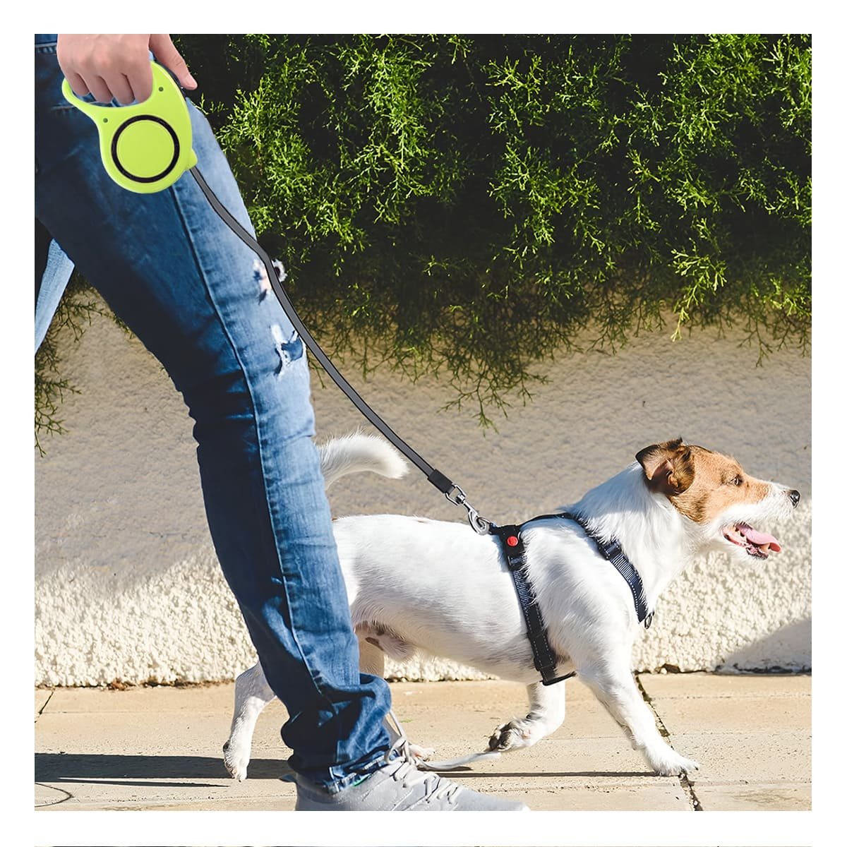 GUIA RETRACTIL VERDE LIMON CON CIRCULO NEGRO PARA MASCOTA YSTICKY - 1