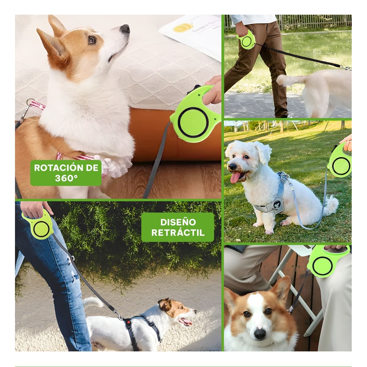GUIA RETRACTIL VERDE LIMON CON CIRCULO NEGRO PARA MASCOTA YSTICKY - 2