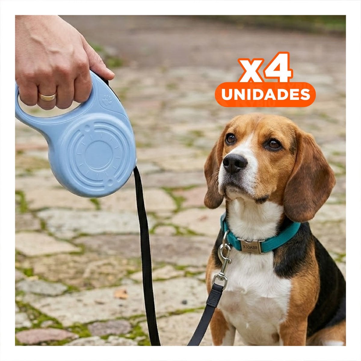 PACK4 AMARRE EXTENSIBLE 3M PARA MASCOTA CON HUELLITA AZUL GRISACEO YREGALO STICKER - 1