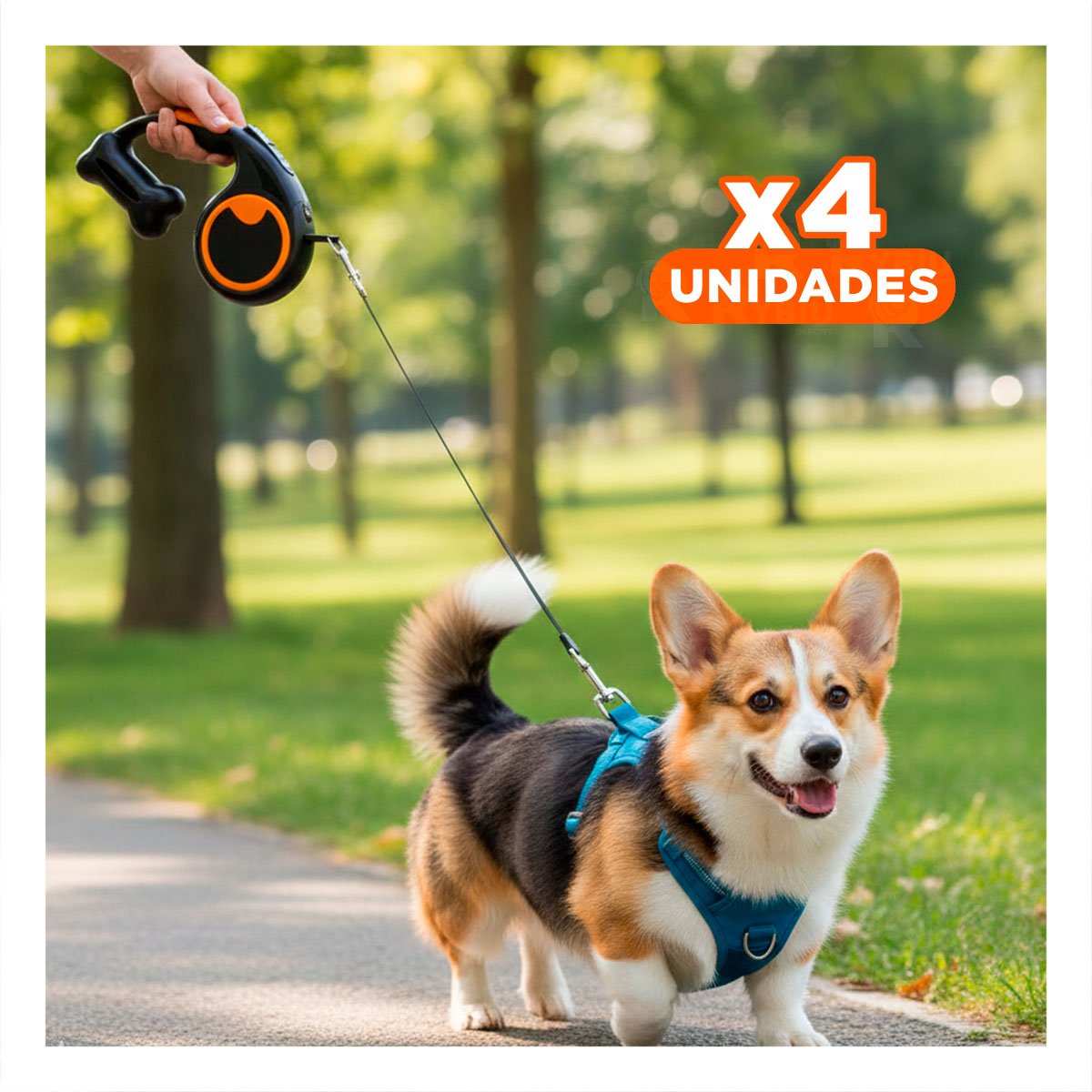 PACK4 ACCESORIO FUNCIONAL NEGRO PARA PASEO DIARIO DE PERRO CON PORTA BOLSA YREGALO STICKER - 1