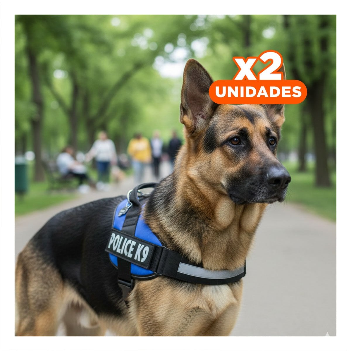 PACK2 ARNES COMODO PARA PERRO TALLA M CON AJUSTE FIRME Y CONTROL SEGURO CELESTE - 1