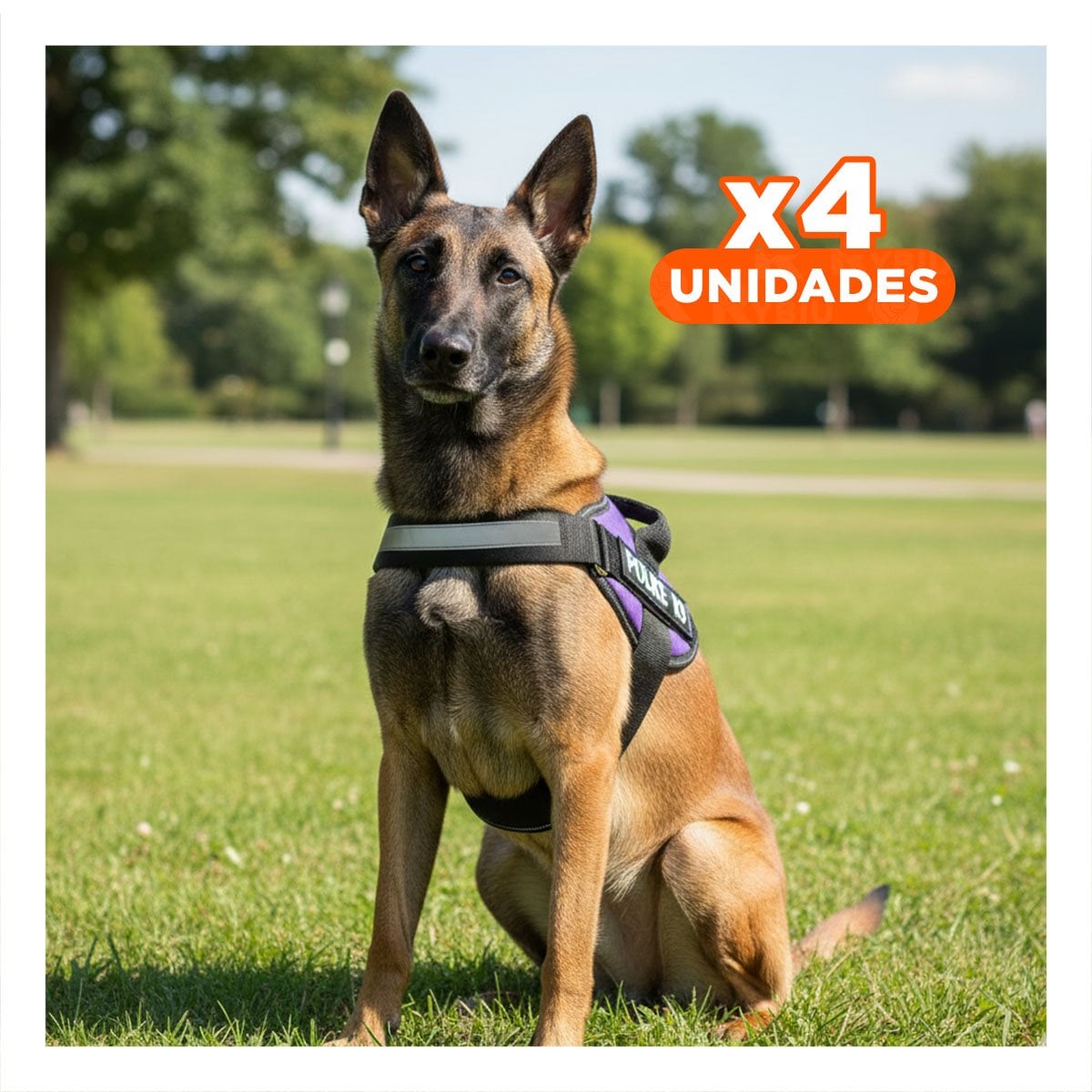 PACK4 SOPORTE CORPORAL PARA PERRO TALLA M CON AJUSTE PRACTICO MORADO YREGALO STICKER - 1