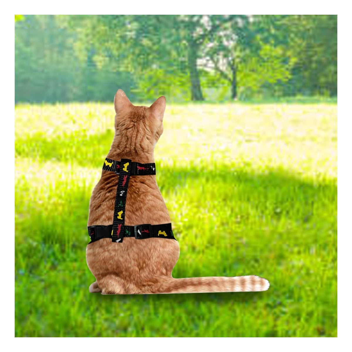 PECHERA PARA CONEJO Y GATO DELGADO NEGRO AJUSTABLE PARA PASEO DIARIO SEGURO - 5