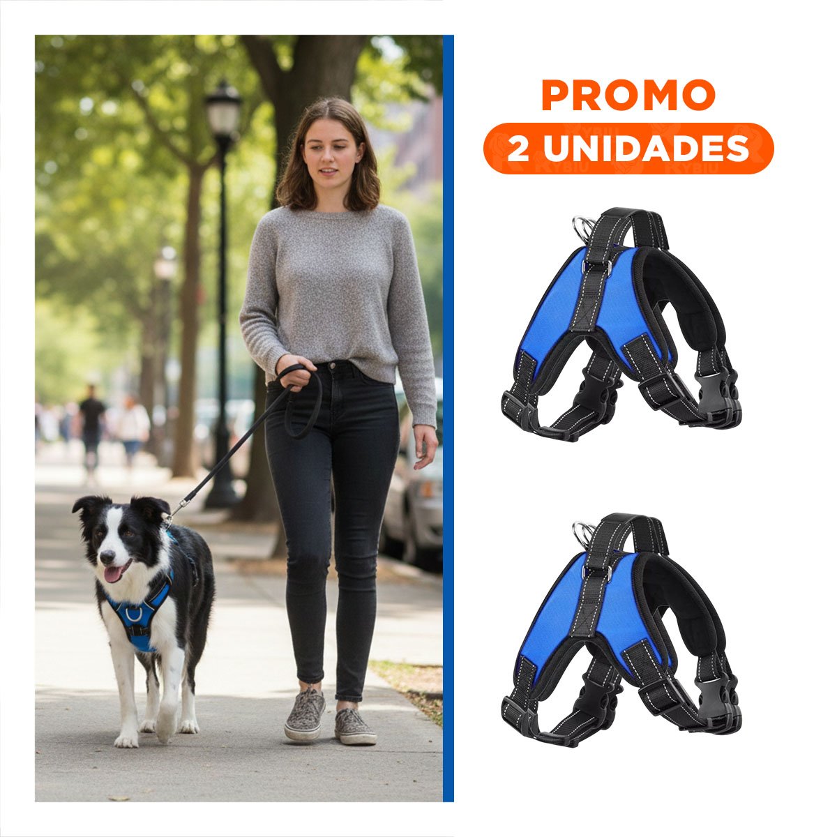 PACK2 CHALECO EN H DE PASEO PARA PERRO TALLA S LIGERO Y SEGURO AZUL YREGALO STICKER - 1