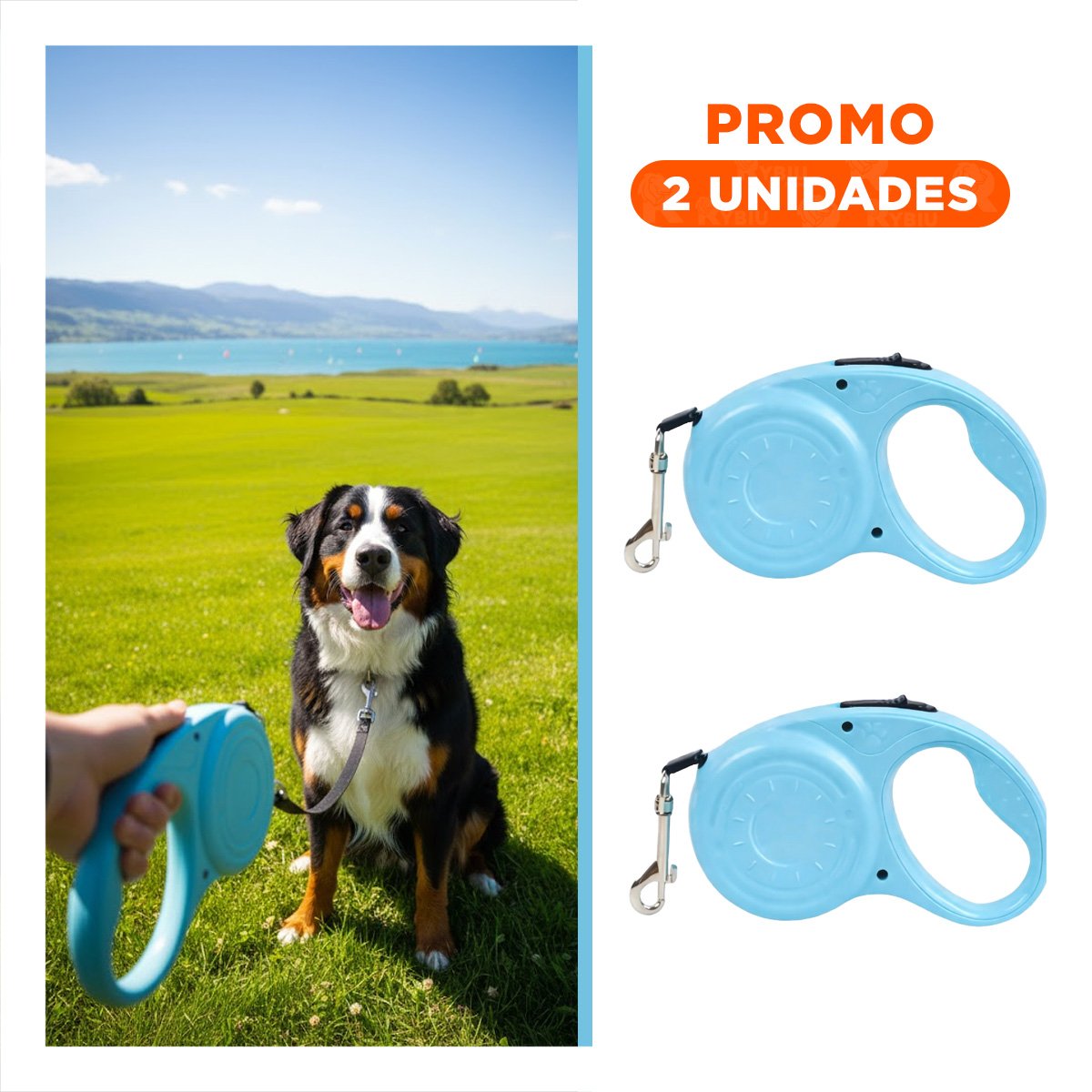 PACK2 CINTA EXTENSIBLE 3M PARA PERRO CON ESTILO HUELLITA CELESTE YREGALO STICKER - 1