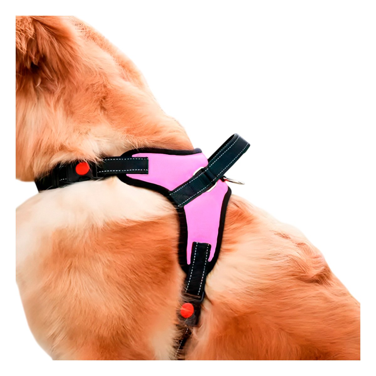 ARNES EN H PARA PERRO TALLA S CON SOPORTE FIRME Y COMODO ROSADO YREGALO STICKER - 1