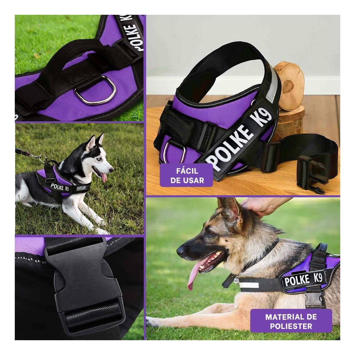 EQUIPO DE PASEO PARA PERRO TALLA M COMODO Y RESISTENTE PARA USO DIARIO MORADO YSTICKY - 2