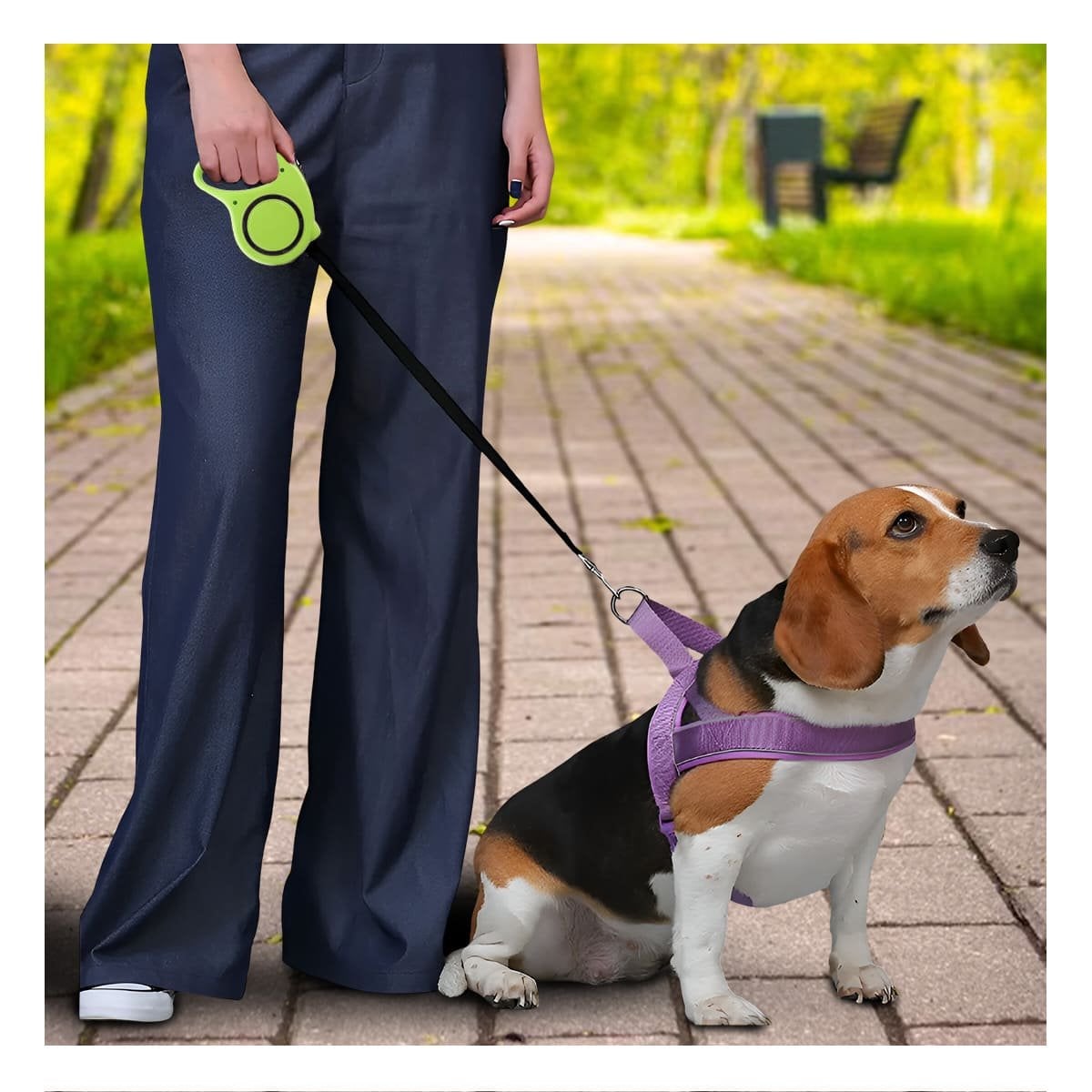 PACK4 COMPLEMENTO CANINO RETRACTIL VERDE LIMON CON CIRCULO NEGRO YREGALO STICKER - 3