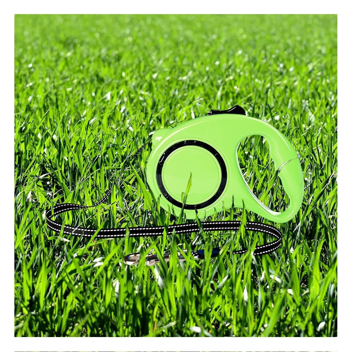 PACK4 HERRAMIENTA DE PASEO CANINO VERDE LIMON CON CIRCULO NEGRO - 2