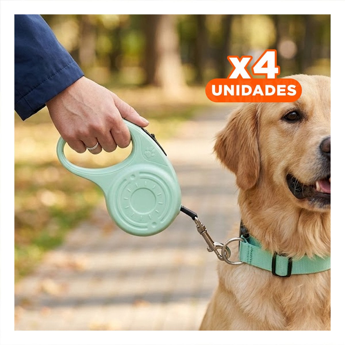 PACK4 SUJETADOR EXTENSIBLE 3M PARA PERRO CON DISENO HUELLITA VERDE CLARO YPAPEL REGALO - 1