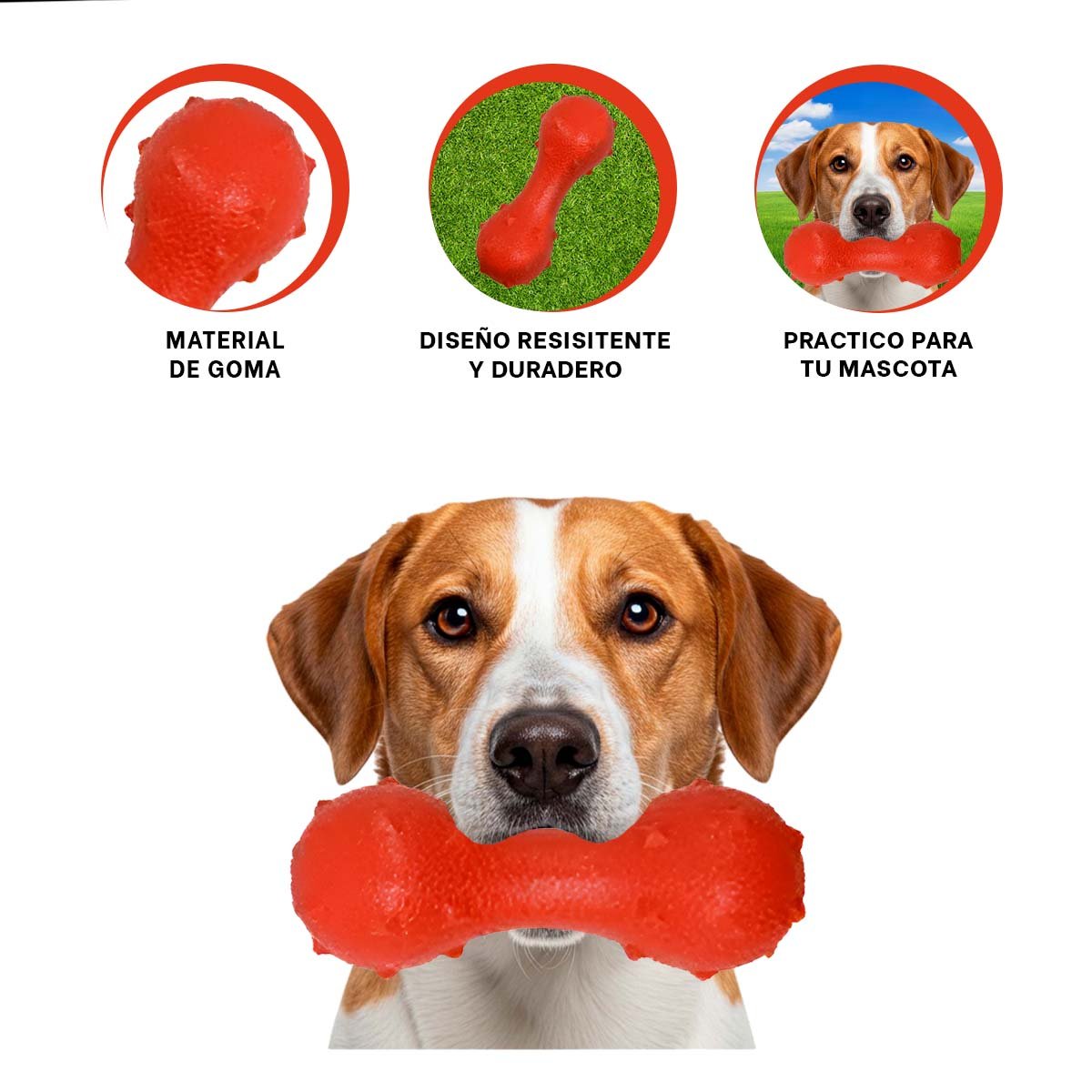 ARTICULO MANCUERNA DE PUAS PARA PERRO ROJO PARA JUEGO ACTIVO Y ESTIMULACION YSTICKY - 5