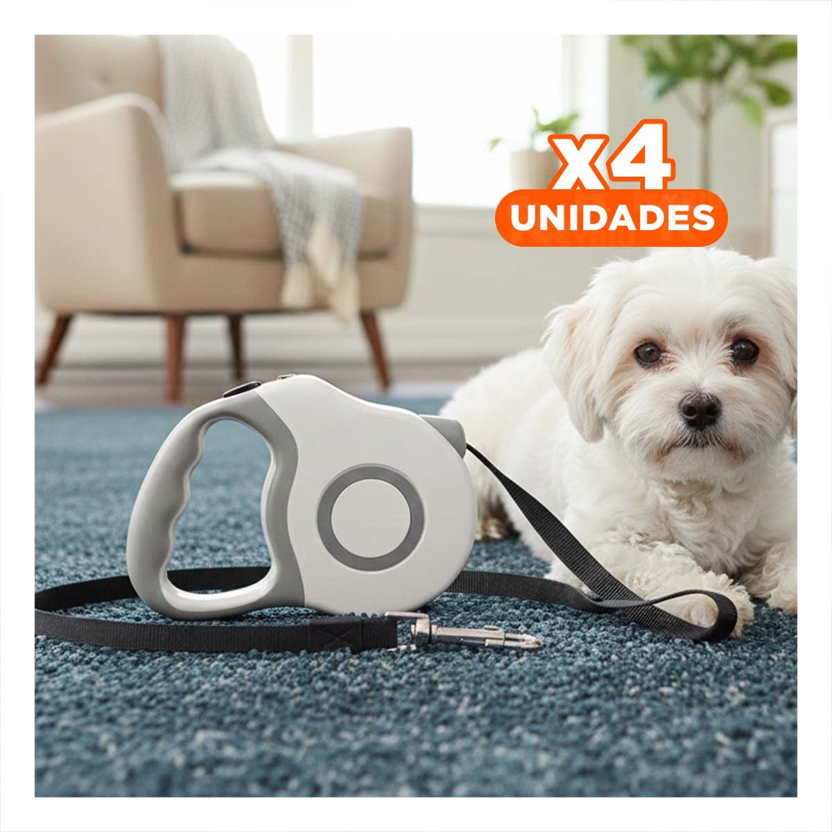 PACK4 CINTA EXTENSIBLE 3M PARA PERRO CON SISTEMA PRACTICO DOBLE TONO YREGALO STICKER - 1