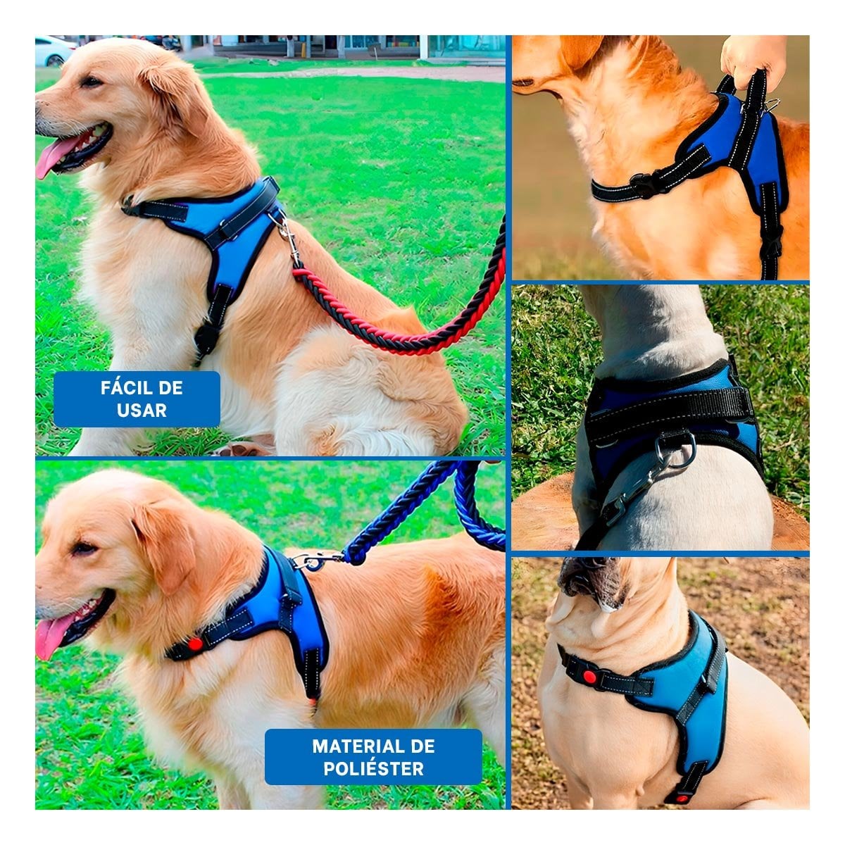 SUJETADOR EN H PARA MASCOTA TALLA M CON AJUSTE PRACTICO AZUL YLIGAS REGALO - 1