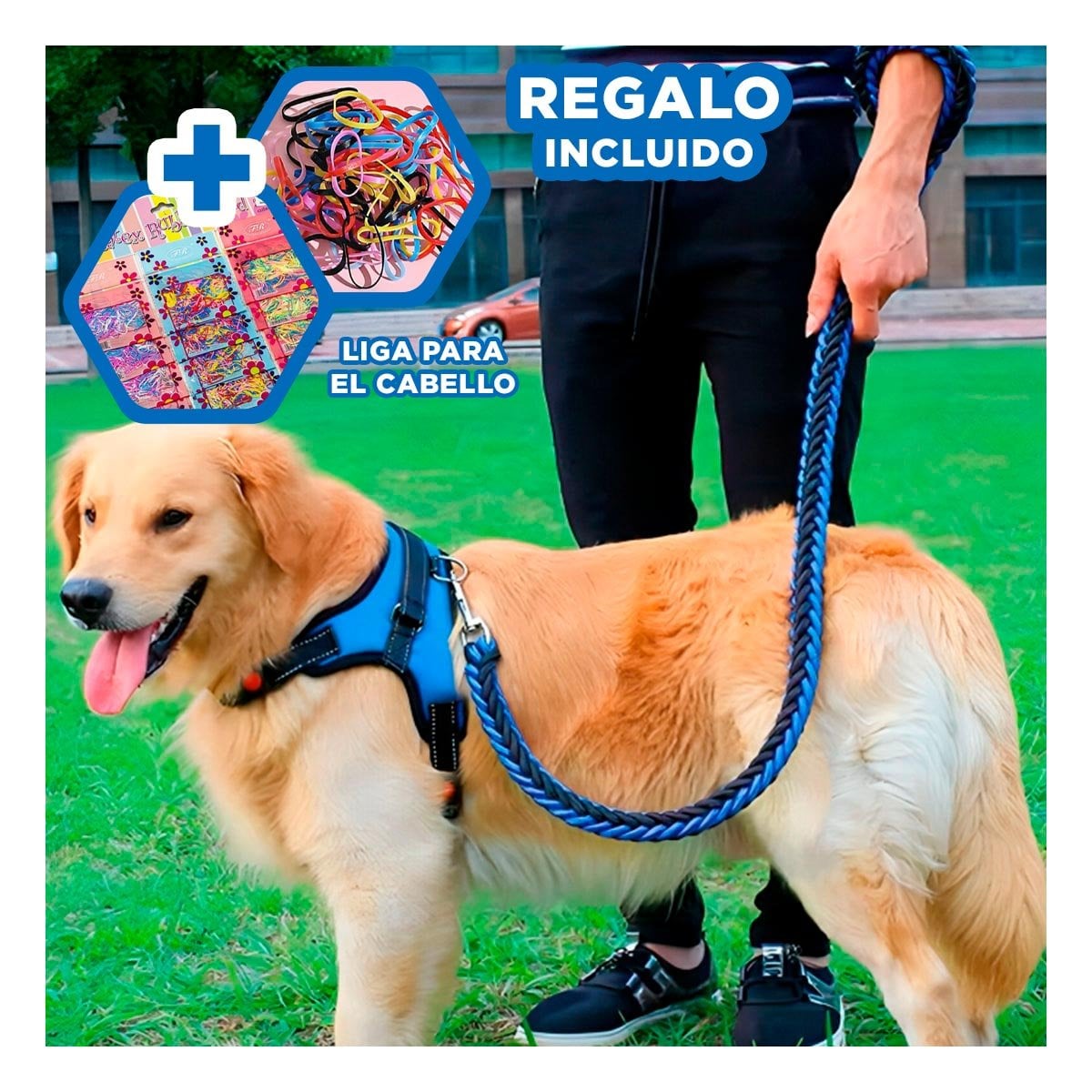 SUJETADOR EN H PARA MASCOTA TALLA M CON AJUSTE PRACTICO AZUL YLIGAS REGALO - 2