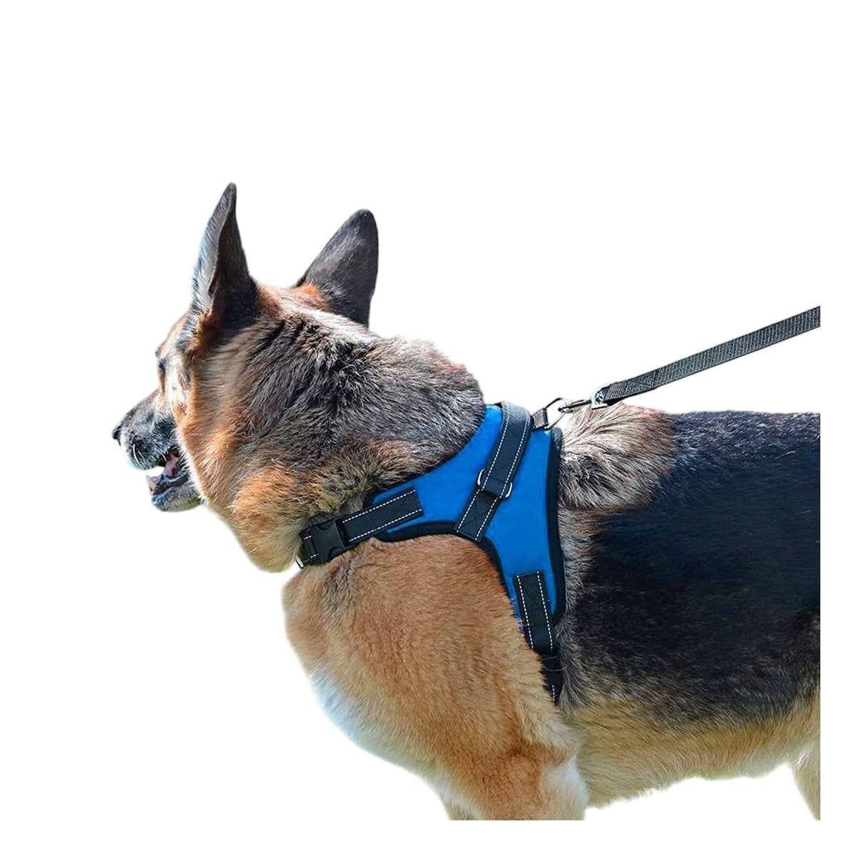 SUJETADOR EN H PARA MASCOTA TALLA M CON AJUSTE PRACTICO AZUL YLIGAS REGALO - 5
