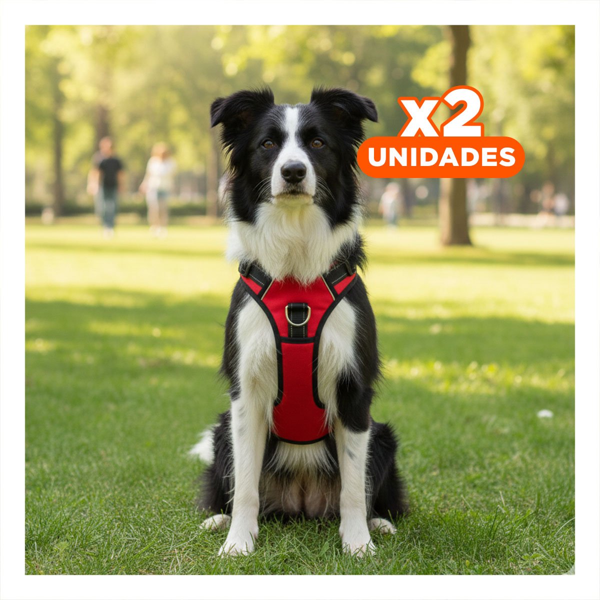 PACK2 PECHERA RESISTENTE EN H PARA MASCOTA TALLA S CON AJUSTE FIRME ROJO YPAPEL REGALO - 1