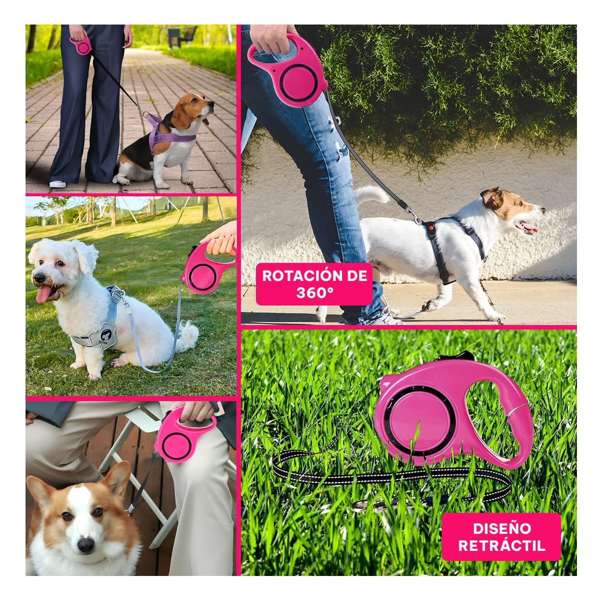 CORDON RETRACTIL AJUSTABLE PARA PASEOS Y ENTRENAMIENTO DE PERROS Y GATOS FUCSIA YPAPEL REGALO - 3