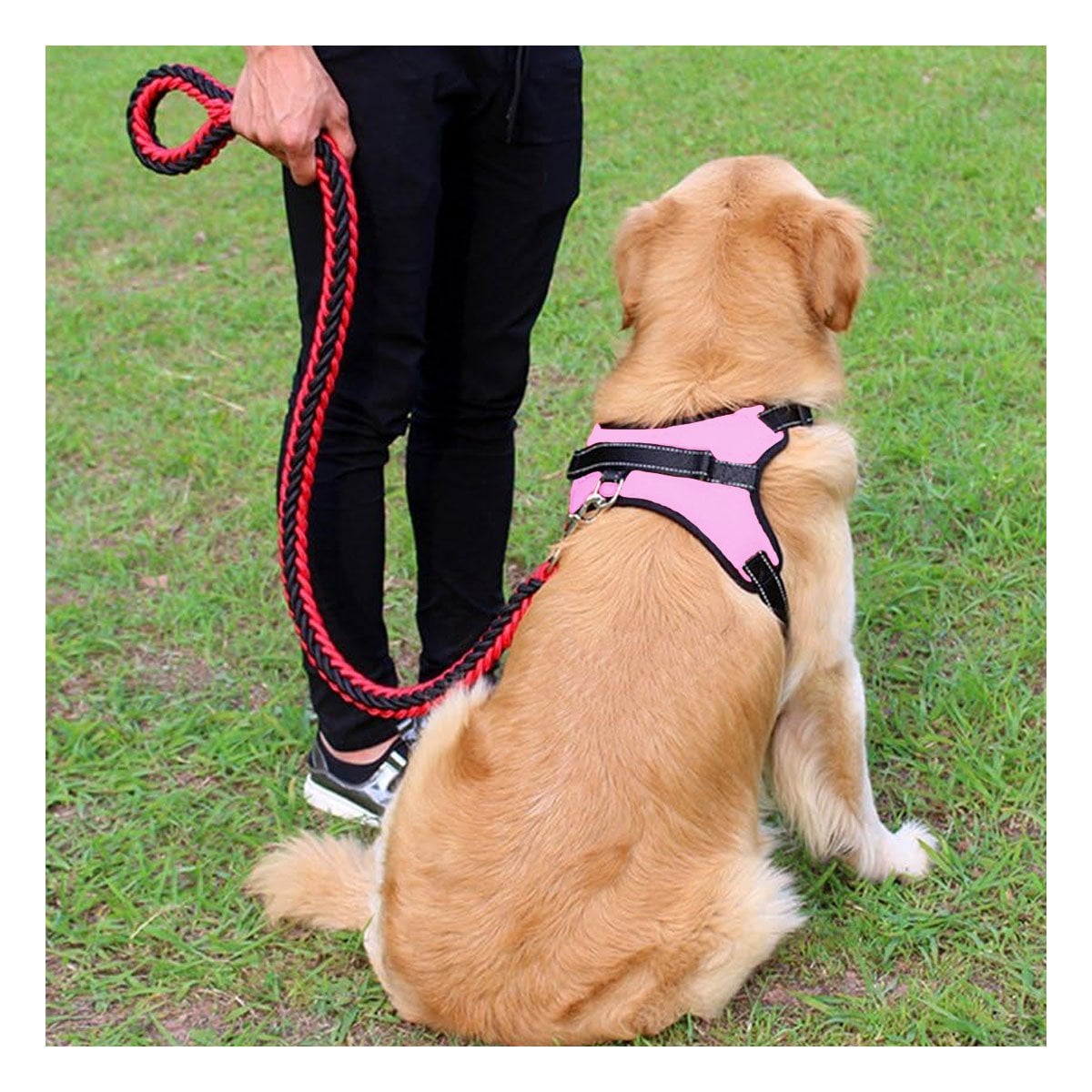 EQUIPO EN H DE PASEO PARA PERRO TALLA S COMODO Y SEGURO ROSADO YSTICKY - 3