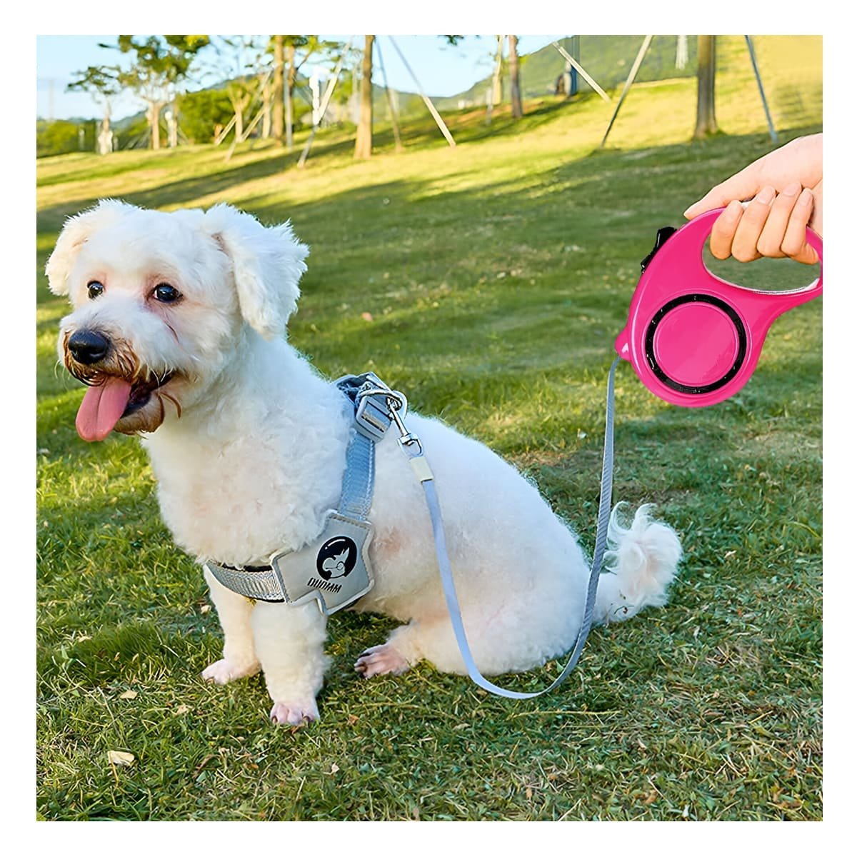 PACK4 LAZO AJUSTABLE RETRACTIL PARA PERROS CON MECANISMO FACIL DE USAR FUCSIA YPAPEL REGALO - 2
