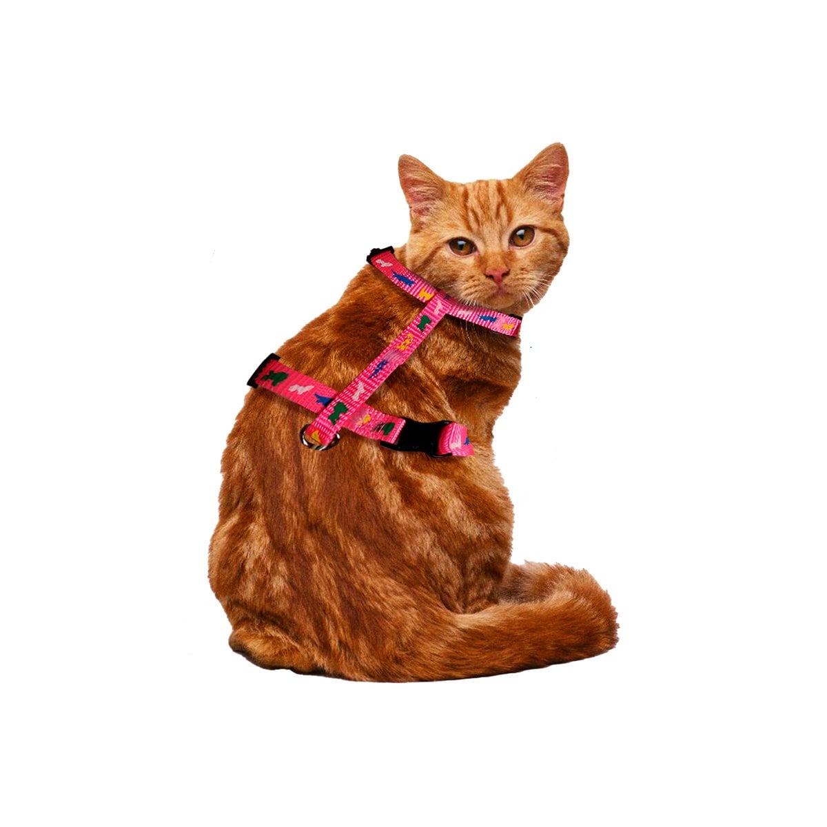 SISTEMA DE SUJECION PARA CONEJO Y GATO DELGADO FUCSIA PARA EXTERIOR YLIGAS REGALO - 5