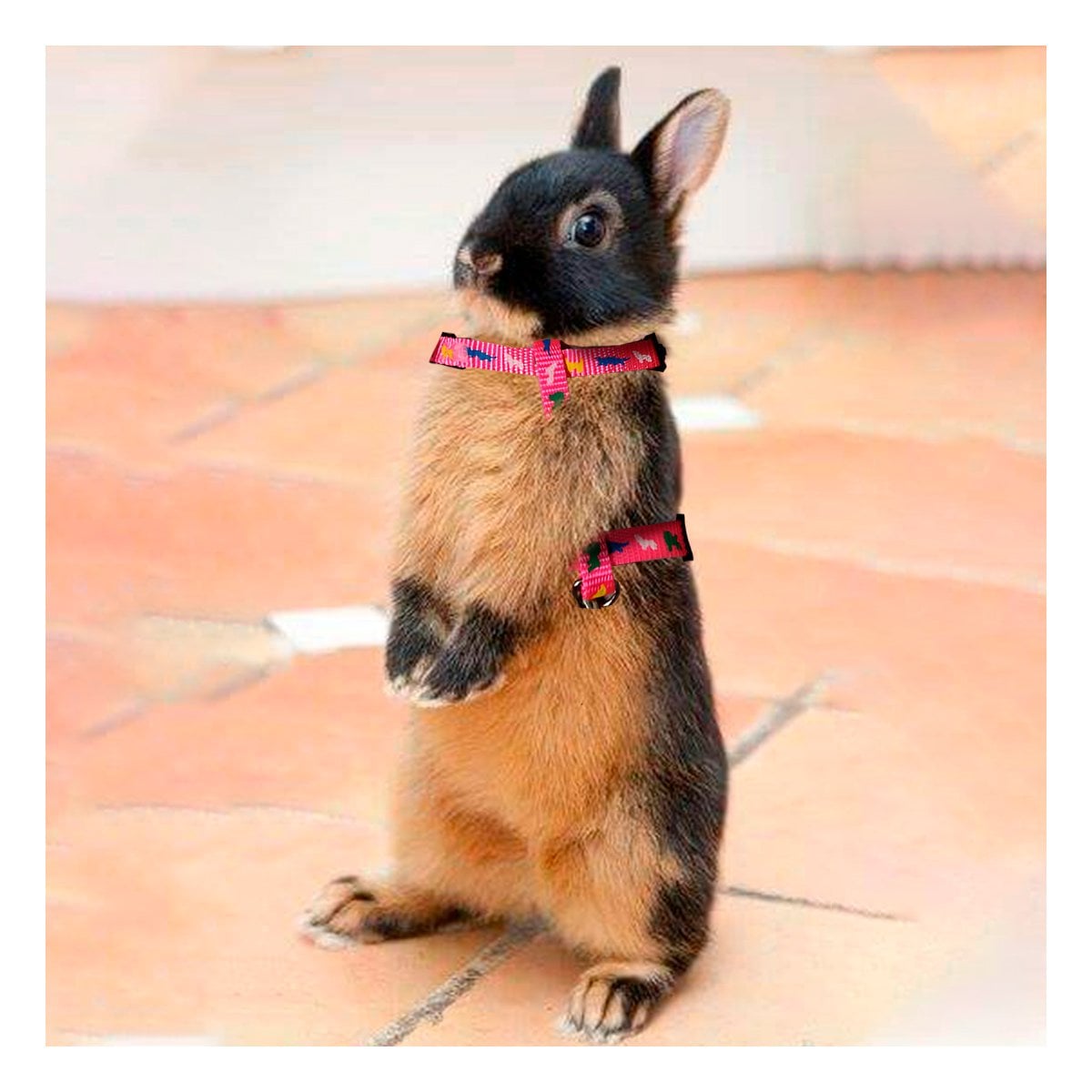 PECHERA PARA CONEJO Y GATO DELGADO FUCSIA AJUSTABLE PARA PASEO DIARIO - 3