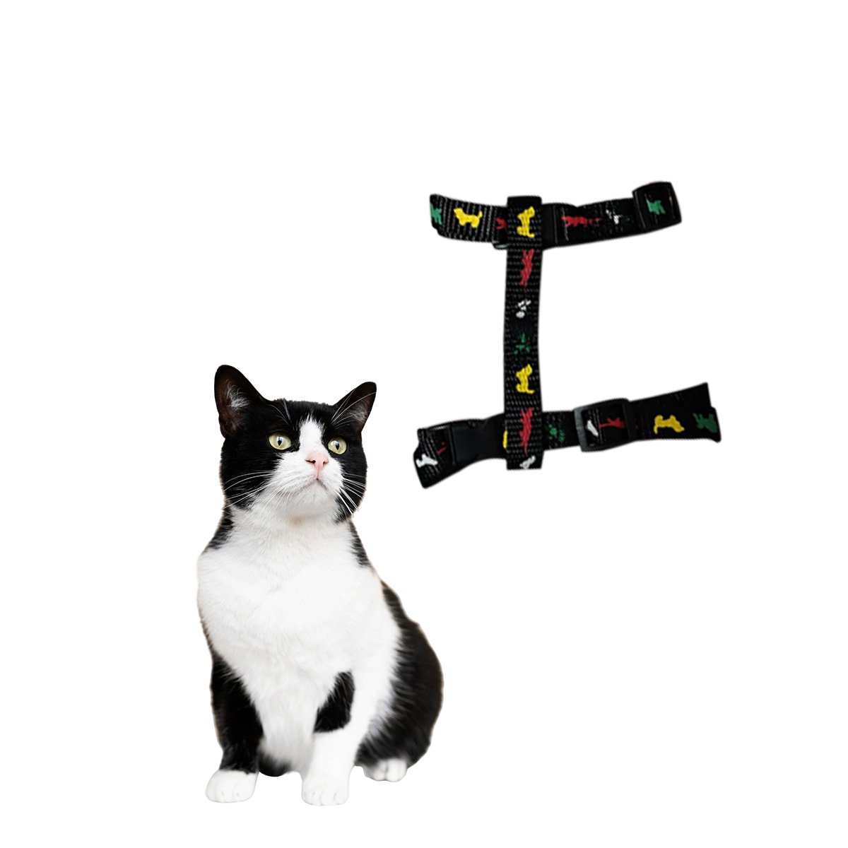 PACK2 CONJUNTO SEGURO NEGRO PARA CONEJO Y GATO DELGADO EN EXTERIOR YREGALO STICKER - 2