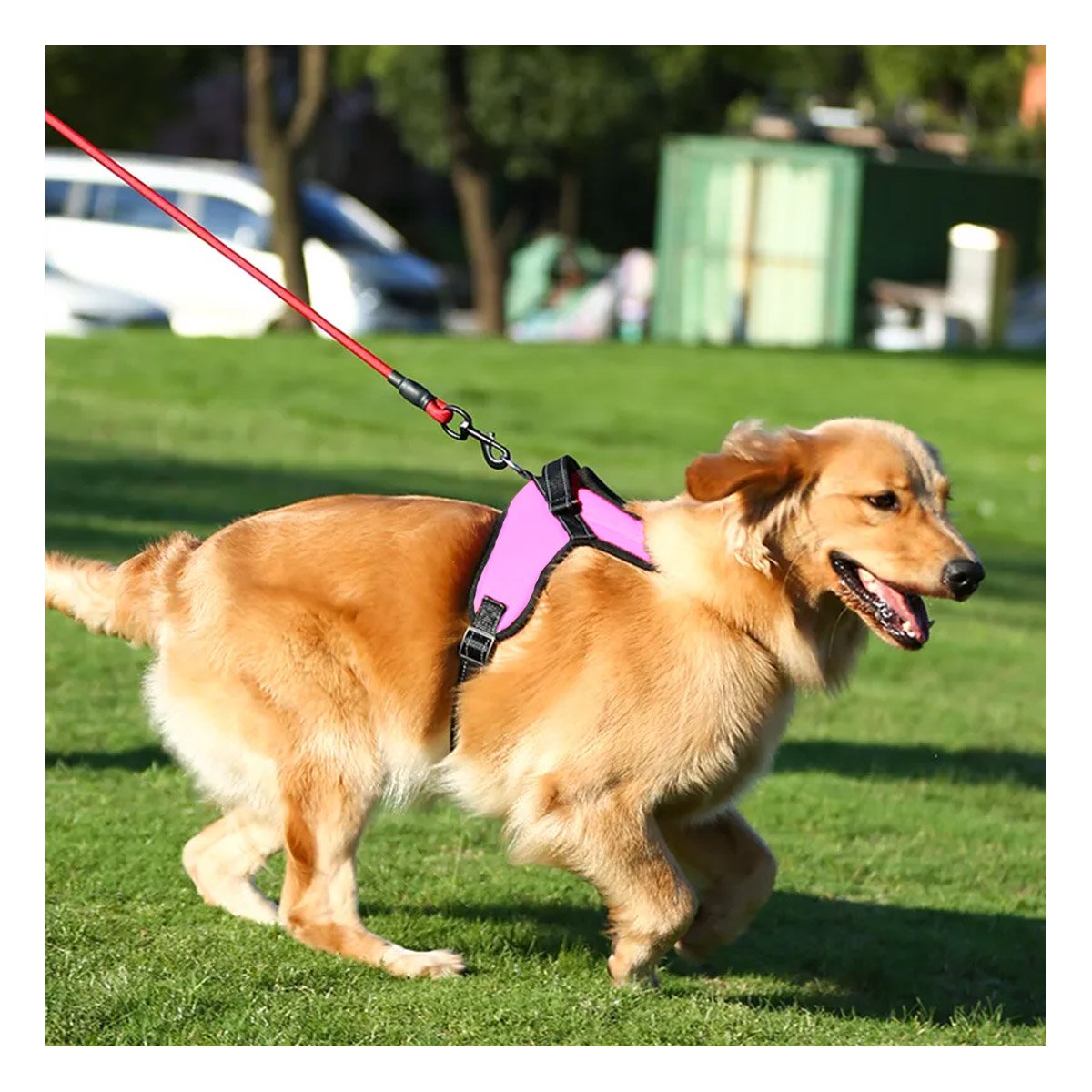 PACK2 PECHERA RESISTENTE EN H PARA MASCOTA TALLA S CON AJUSTE ROSADO YPAPEL REGALO - 2