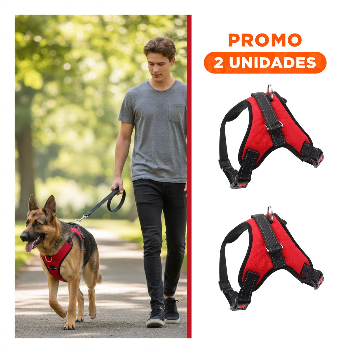 PACK2 CHALECO EN H DE PASEO PARA PERRO TALLA S LIGERO Y SEGURO ROJO YREGALO STICKER - 1