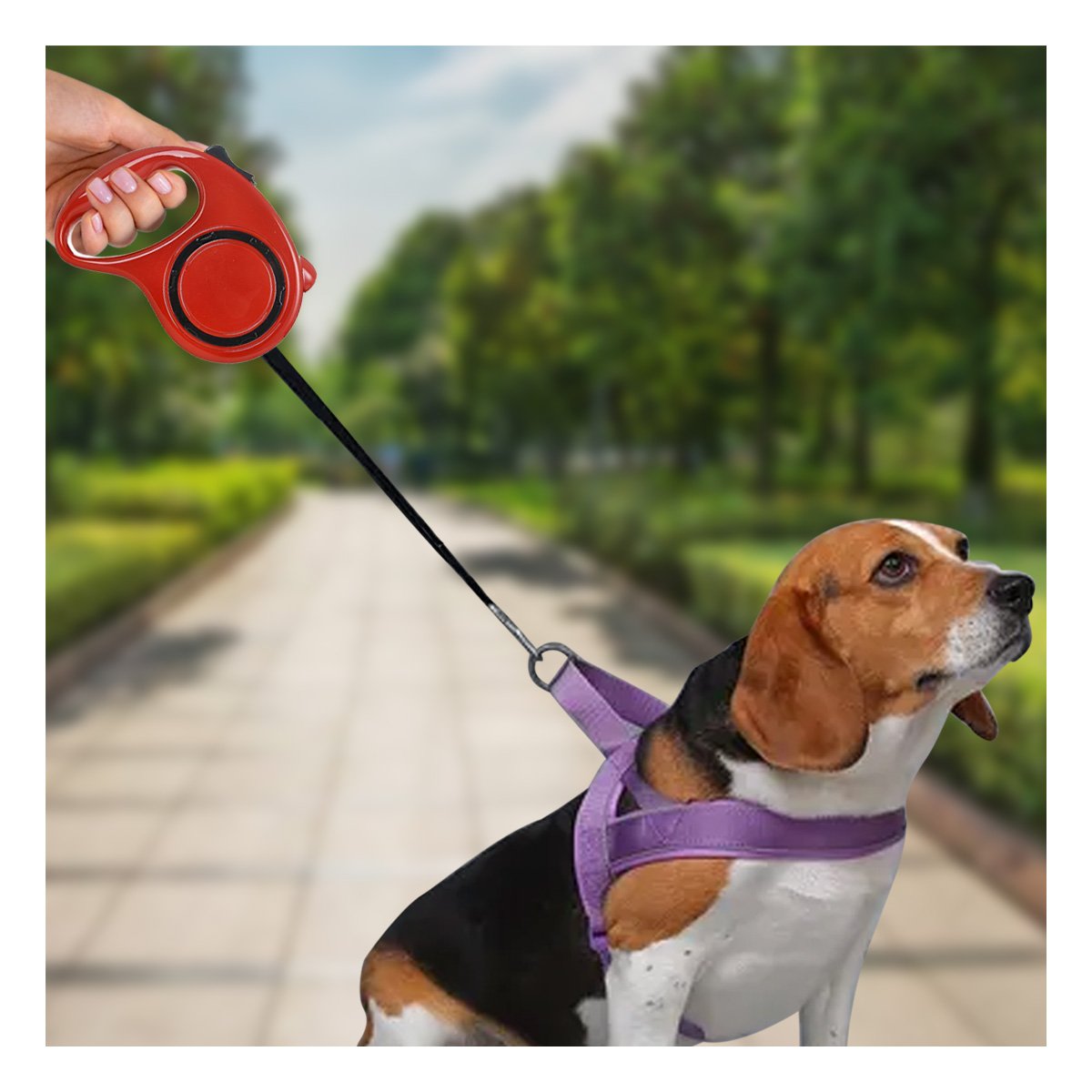 CABLE RETRACTIL DURADERO PARA MASCOTAS QUE FACILITA CAMINATAS COLOR ROJO YREGALO STICKER - 2