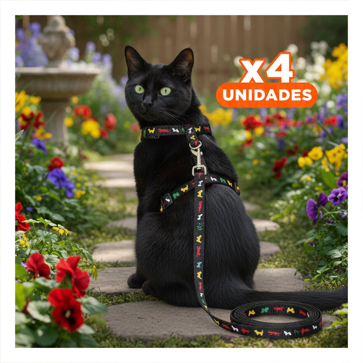 PACK4 ARTICULO SEGURO NEGRO PARA CONEJO Y GATO DELGADO EN PASEO YREGALO STICKER - 1