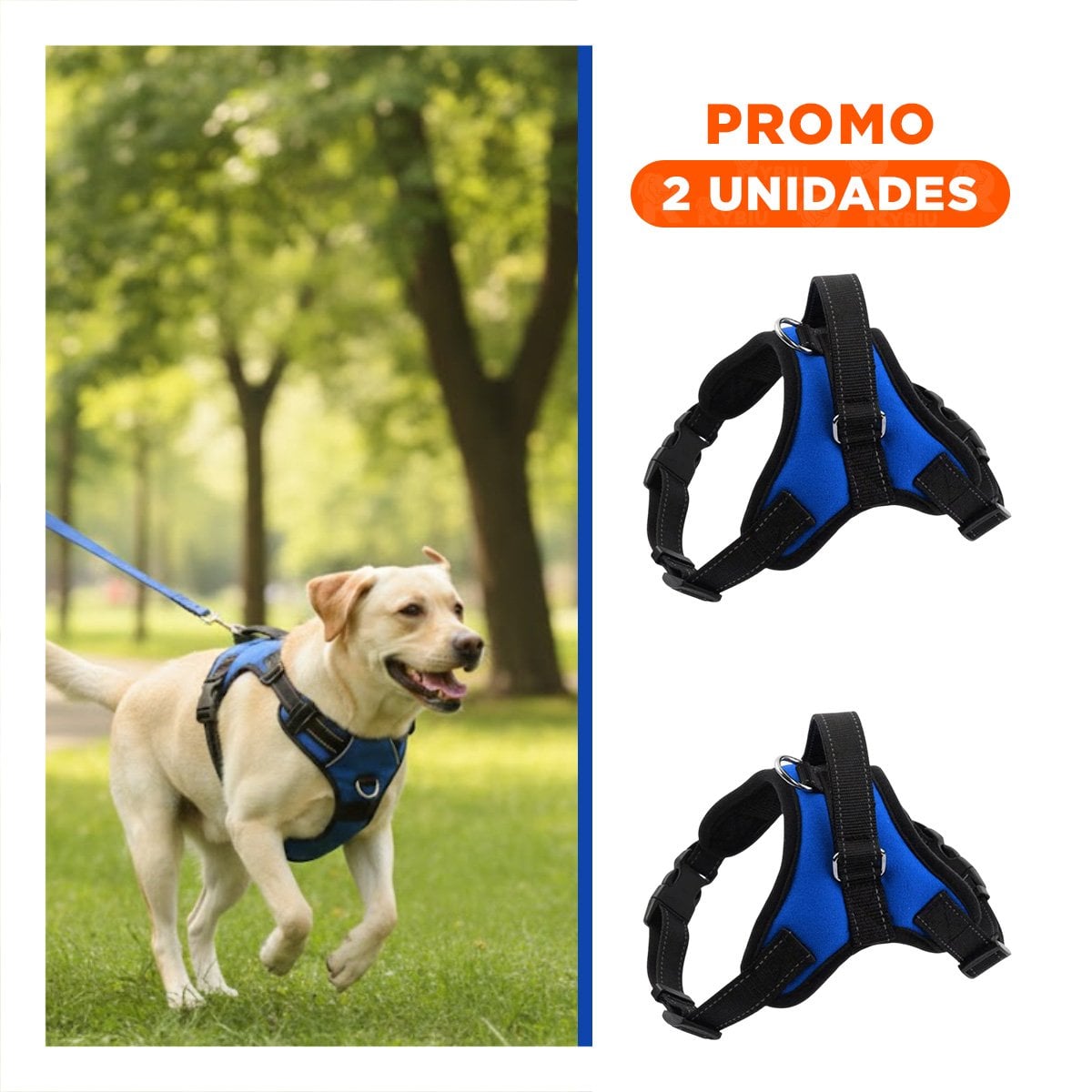 PACK2 CHALECO EN H DE PASEO PARA PERRO TALLA M LIGERO AZUL YREGALO STICKER - 1