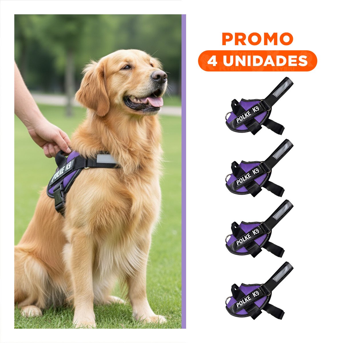 PACK4 ACCESORIO AJUSTABLE PARA PERRO TALLA M CON CONTROL SEGURO MORADO - 1