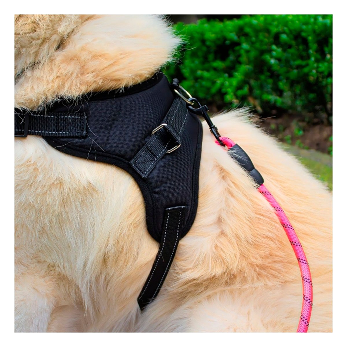 PECHERA EN H PARA PERRO TALLA M RESISTENTE Y COMODA PARA PASEOS NEGRO - 1