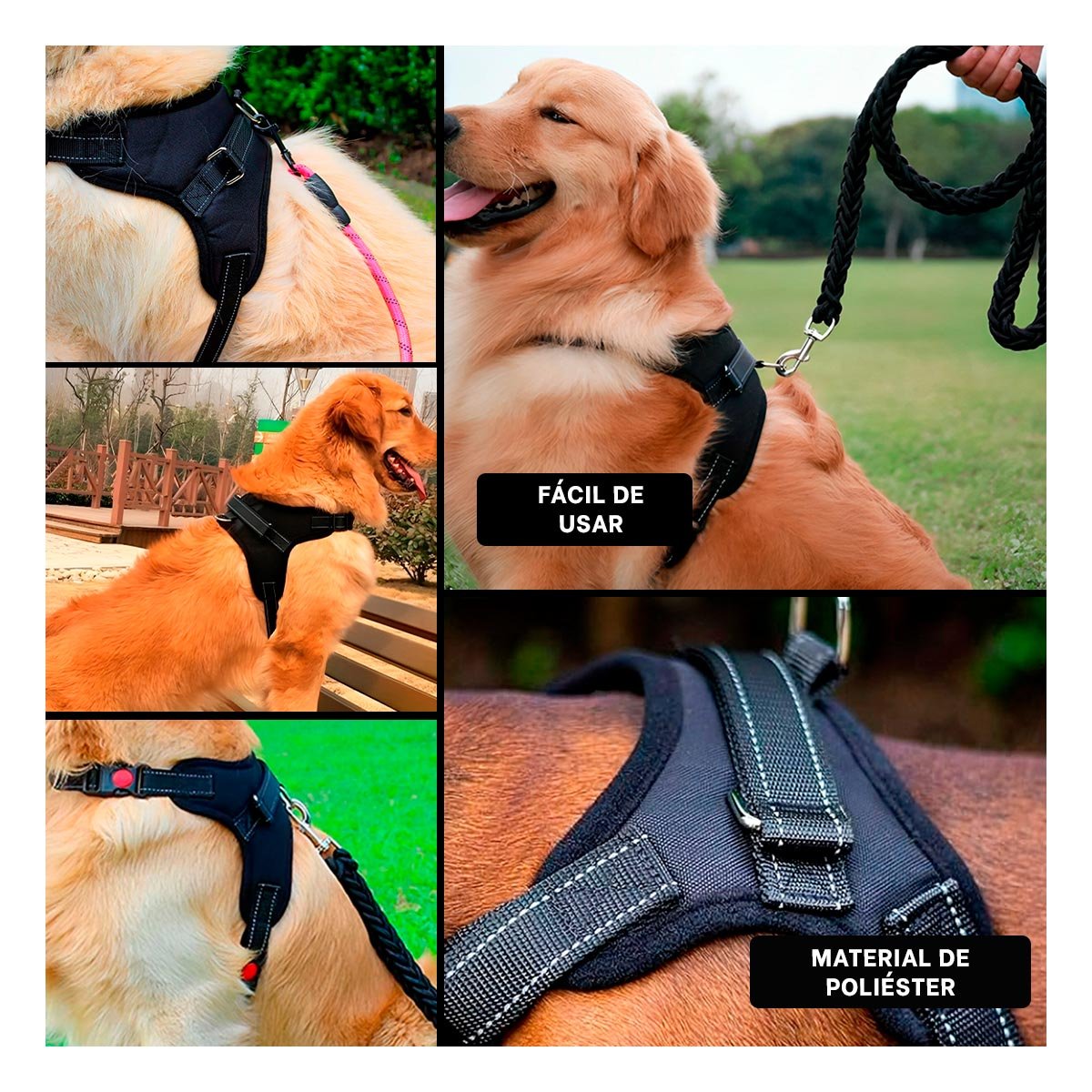 PACK4 SOPORTE CORPORAL EN H PARA MASCOTA TALLA M CON AJUSTE SEGURO NEGRO YREGALO STICKER - 2