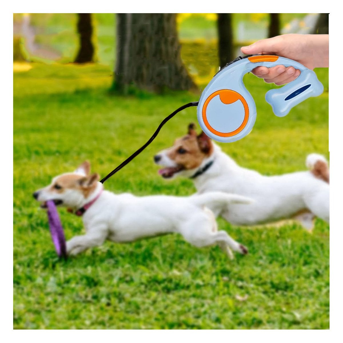 LAZO RETRACTIL CELESTE CON PORTA BOLSA PARA MASCOTAS ACTIVAS YPAPEL REGALO - 2