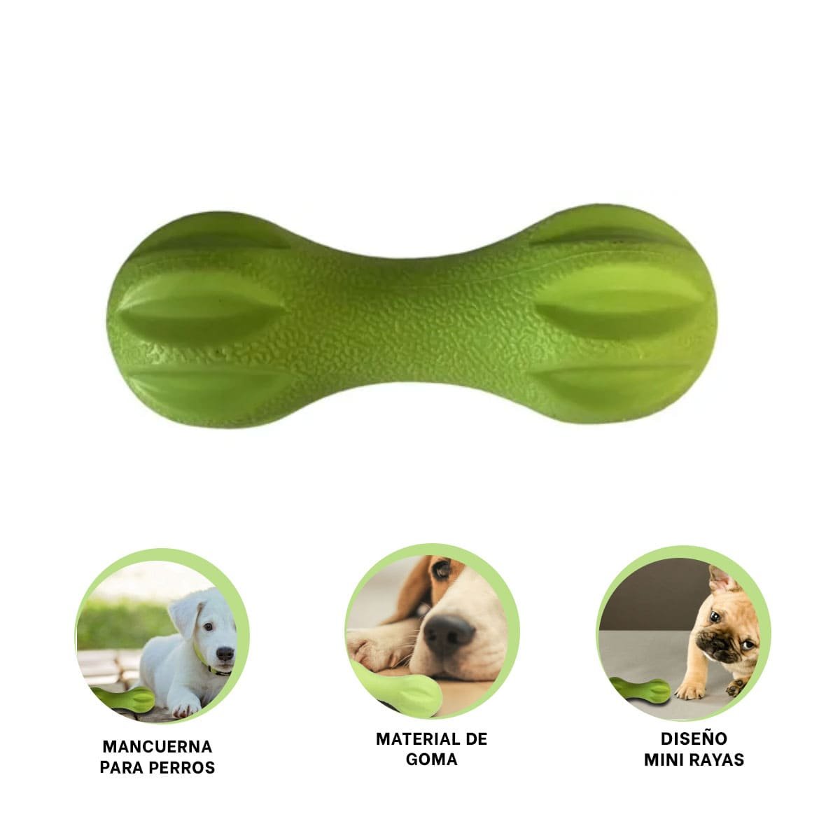 COMPLEMENTO MANCUERNA DE MINI RAYAS VERDE MENTA PARA MASCOTA YSTICKY - 5