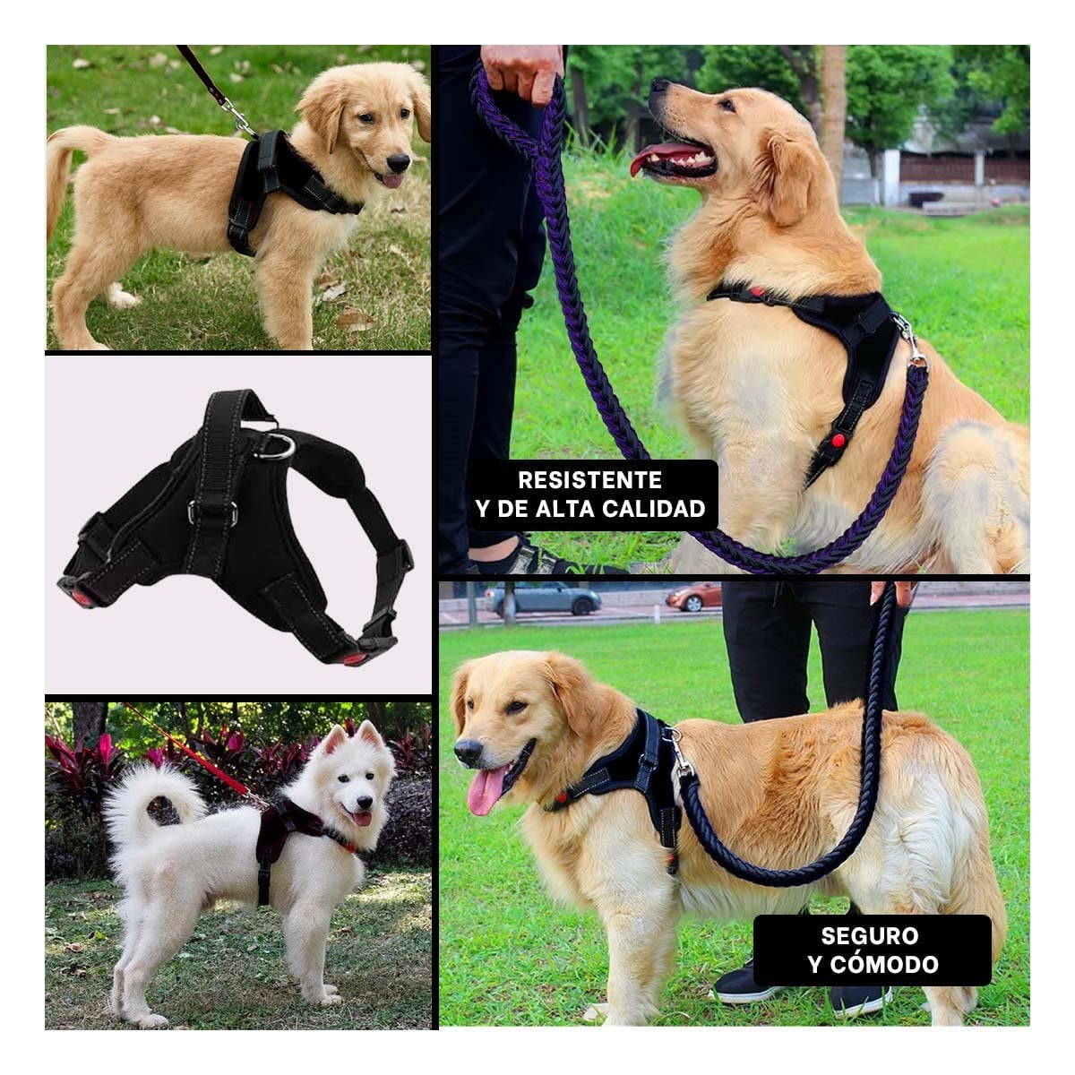EQUIPO EN H DE PASEO PARA PERRO TALLA S COMODO Y SEGURO PARA EXTERIOR NEGRO YSTICKY - 2