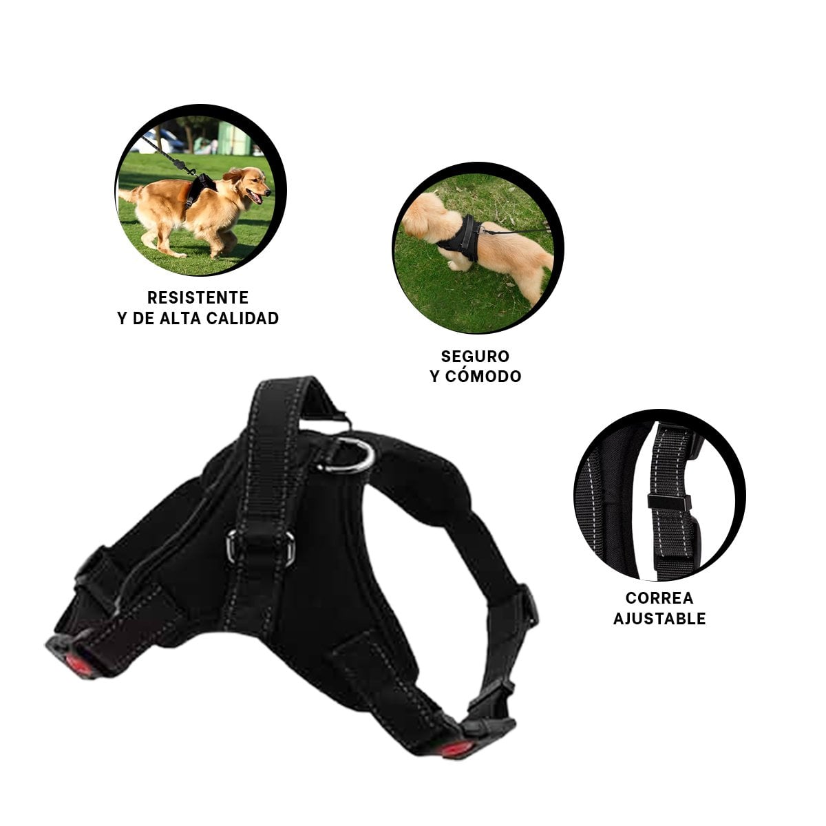EQUIPO EN H DE PASEO PARA PERRO TALLA S COMODO Y SEGURO PARA EXTERIOR NEGRO YSTICKY - 5
